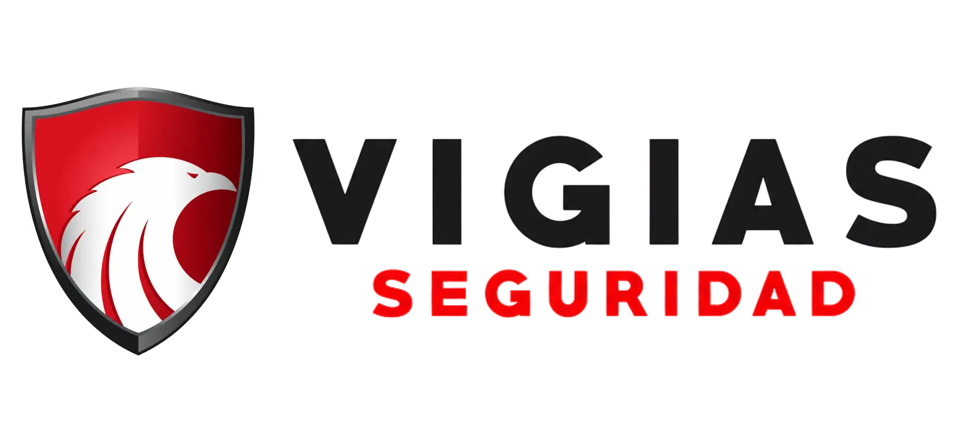 Vigías Seguridad