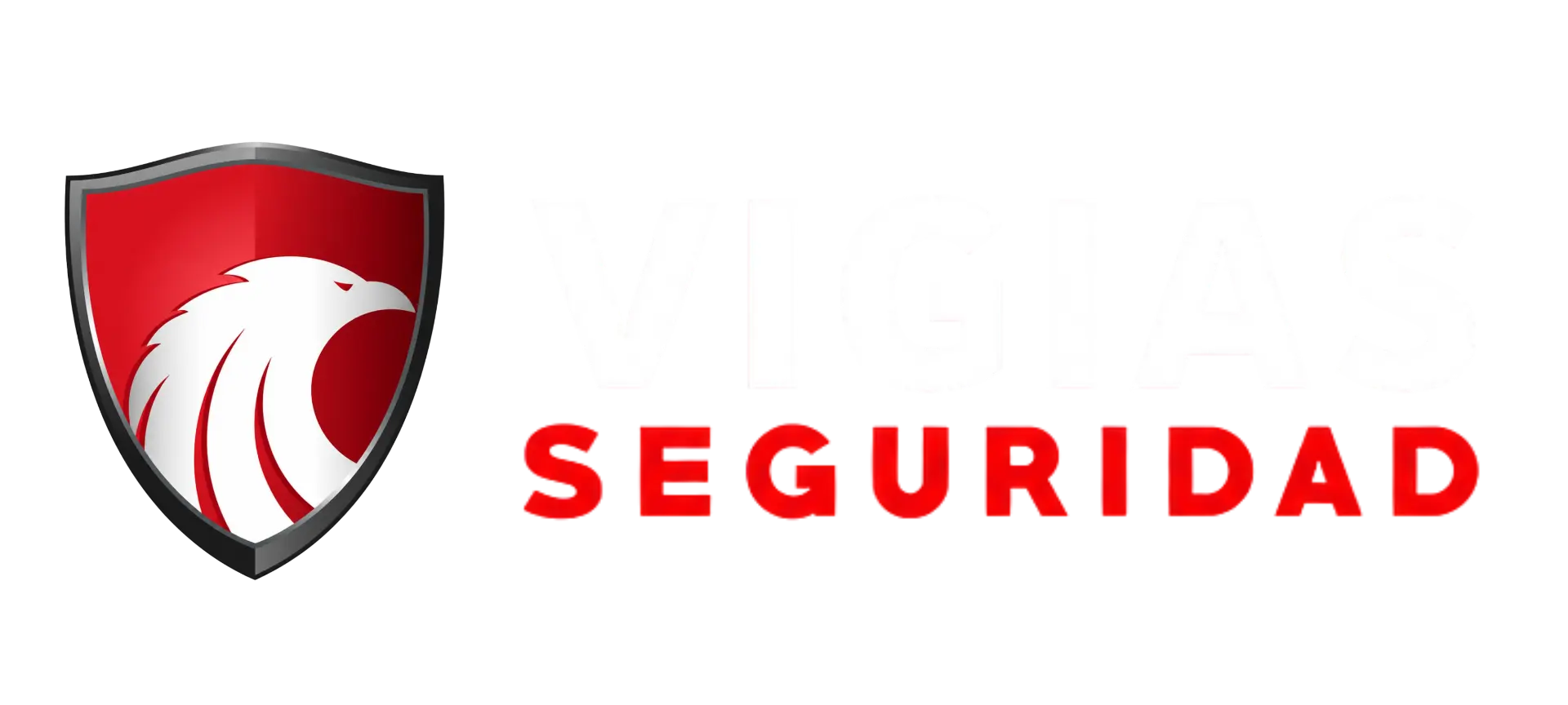Vigías Seguridad